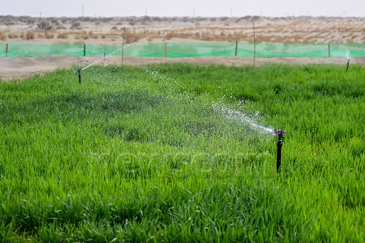 sipaphotostwentyfour803047